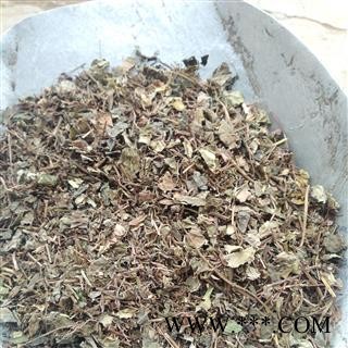 金钱草 小叶金钱草  统段 产地 四川省图2