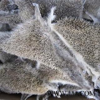 刺猬皮 统货 产地 山东省图2