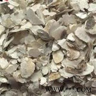 牡蛎 牡蛎小片 产地 山东省图2