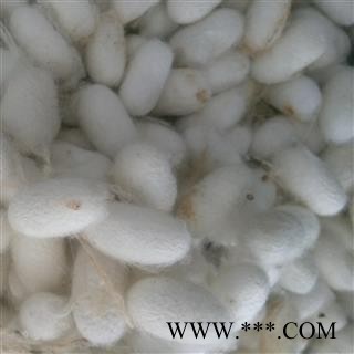 蚕茧个 蚕茧选装货 产地 浙江省图2