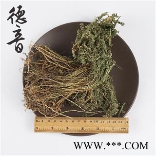 【满包邮】地柏枝 统 1000g 别称 江南卷柏 产地 四川省图4