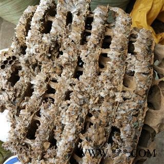 蜂房 硬蜂房统货 产地 山东省 山峰房 好统货 供应各钟中药材 冷背货 矿石等图2