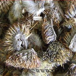 刺猬皮 方块 除油 除肉 除骨 精品选货  产地 山东省图2