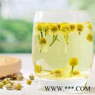 秦岭野生洋甘菊 山民自捋 手工去杂 日晒无硫1000g图3