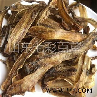 地龙 全开小地龙 产地 广西壮族自治区图3