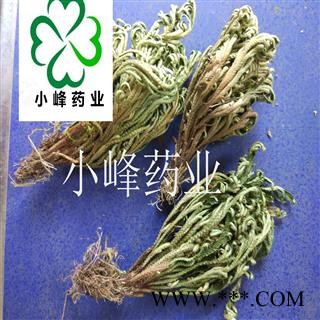 卷柏 卷柏团状 选货 颜色好 纯干 产地 四川省图2