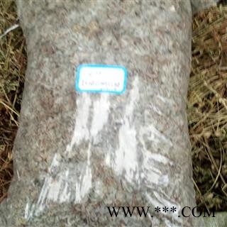 陈茵陈 正月小茵陈新品 产地 河南省平顶山市汝州市可以机切（供药店）图4