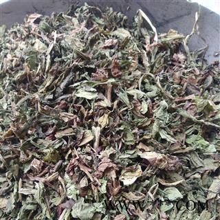 蒲公英 家种蒲公英绿色统货 产地 河北省图2