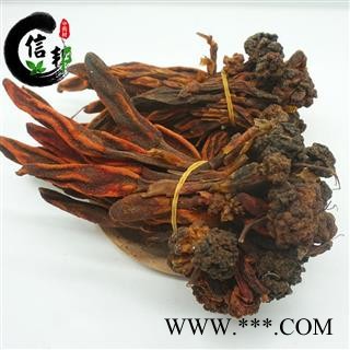 回春草顶天柱泡酒料不老草草苁蓉专注品质，诚信信邦！图2