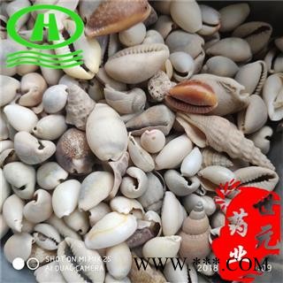 世元药业 白贝齿 正品 货贝 环纹货贝图2