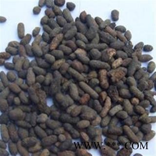 五灵脂 统 产地 山西省图2