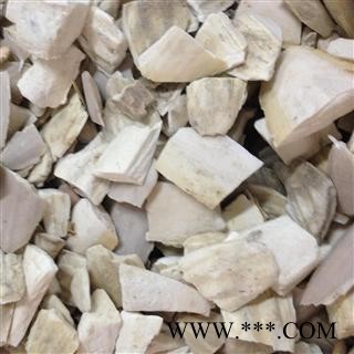 海螵蛸 海螵蛸大统块 产地 海南省图2