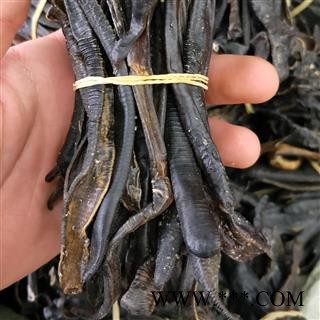 水蛭个 大水蛭清水吊干选装 产地 浙江省图3