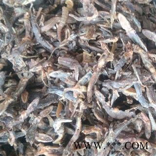 壁虎个 壁虎统货 产地 河南省图3