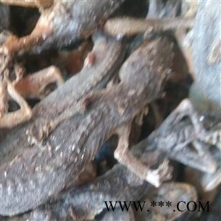 壁虎个 壁虎统货 产地 河南省图2