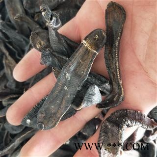 水蛭个 清水吊干水蛭特级 产地 江苏省图3