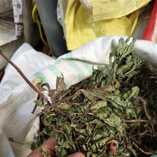 野薄荷 精选 产地 河南省平顶山市汝州市图2