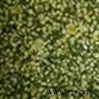 胎菊 统 产地 安徽省图2