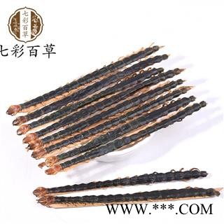 蜈蚣 国产蜈蚣中条精选货14cm左右大量供应图1
