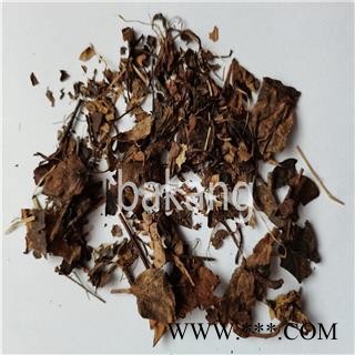 鹿衔草 统 鹿晗草图2