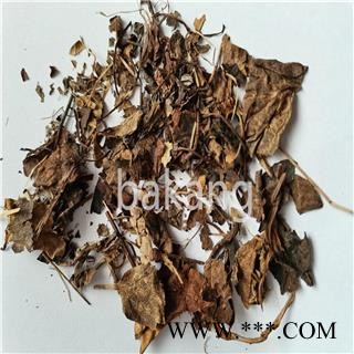 鹿衔草 统 鹿晗草图3