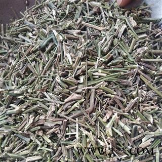 穿心莲 好统货 产地 河南省图2