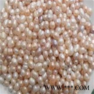 珍珠 中药材药食两用珍珠图2
