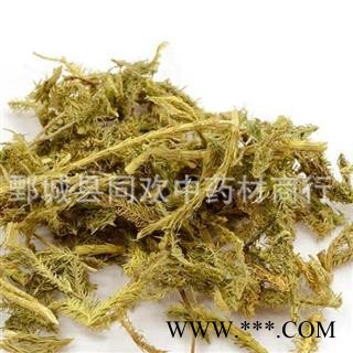 【伸筋草】@【同欢药材】中药材批发供应  规格齐全 量大从优  产地 云南省图2