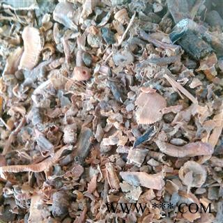 地龙片1000克促销批发 碎地龙 产地 福建省图2