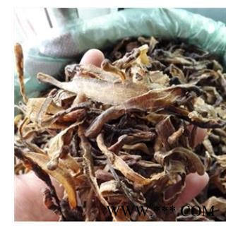 地龙 地龙 产地直销打开小地龙，  产地 上海市图2