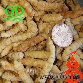 世元药业 地蚕 土虫草 草石蚕 新货 个大丰满 实物图片图2