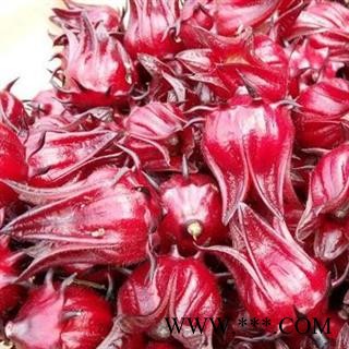 洛神花 秦岭野生优质新货玫瑰茄山民自采 日晒无硫500g【打折已结束】图3