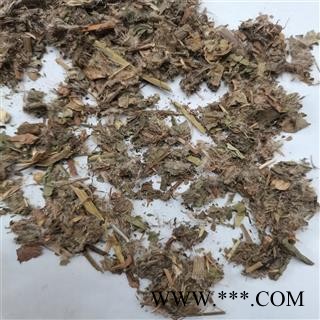 小蓟 统 产地 河南省平顶山市湛河区图2