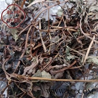 鱼腥草 统货 产地 四川省【品种齐全 诚信经营】图2