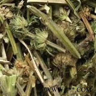 益母草 好统货今年新货 产地 山东省图2