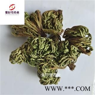 卷柏 卷柏 九死还魂草 不死草 产地云南省 地道药材 紫轩堂药业图2
