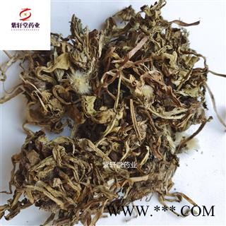 蒲公英 野生蒲公英选货 产地山东省 地道药材 紫轩堂药业图4