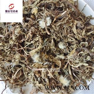 蒲公英 野生蒲公英选货 产地山东省 地道药材 紫轩堂药业图2