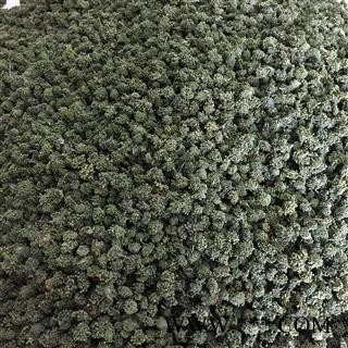 云南文山3年生三七花/田七花 产地直销图2