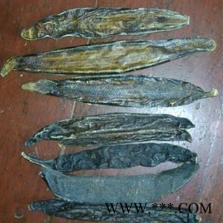 水蛭 小水蛭清水吊杆货 稻田货 产地 广西壮族自治区图2