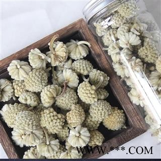 【99包邮】绿萝花 选货 四川产 绿罗花【良心经营 品种齐全】图3