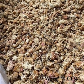 菊花 精品菊花新货  产地 河北省 道地药材 发货快 支持小包装拿样 7天无理由退货图2