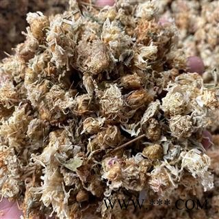 菊花 精品菊花新货  产地 河北省 道地药材 发货快 支持小包装拿样 7天无理由退货图4