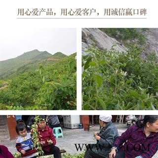 金银花 金银花青花选货 新货干度好含量高  产地 山东省 道地药材 发货快图4