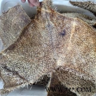 安祁名药刺猬 整张刺猬皮图2