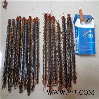 蜈蚣 蜈蚣 湖北黑蜈蚣 精选蜈蚣大条精选货14-15cm 地道好货 产地 湖北省图3