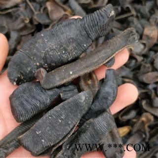 水蛭个 大水蛭清水选 产地 浙江省图2