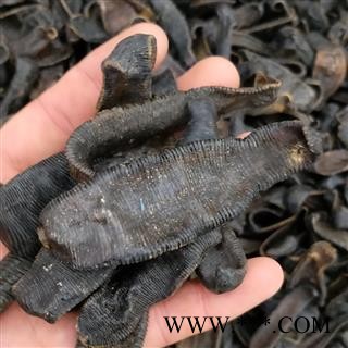 水蛭个 大水蛭清水选 产地 浙江省图1