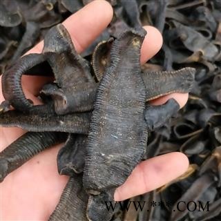 水蛭个 大水蛭清水选 产地 浙江省图3