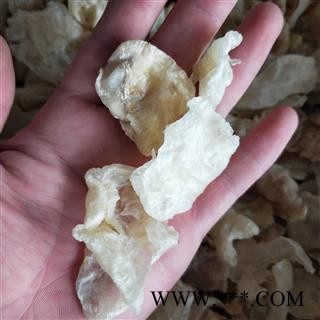 鱼鳔 鱼鳔统货 产地 山东省图2